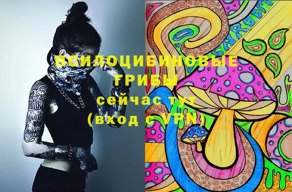 эйфоретик Алзамай