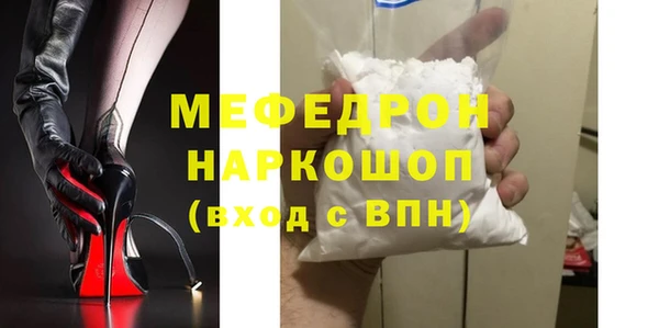 амф Ельня
