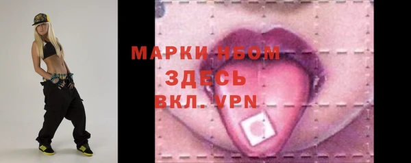 шишки Абаза