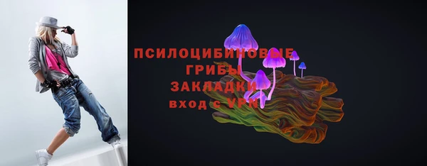 эйфоретик Алзамай