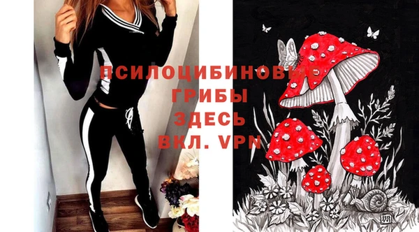 эйфоретик Алзамай