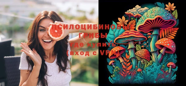 mix Алексин