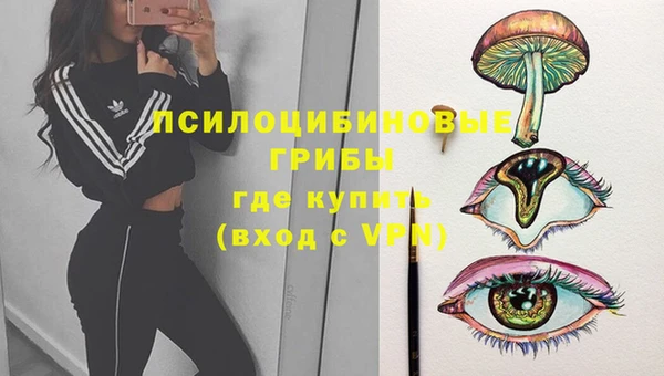 ALPHA PVP Алексеевка