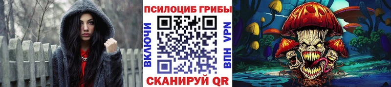 как найти закладки  Солнечногорск  Псилоцибиновые грибы GOLDEN TEACHER 